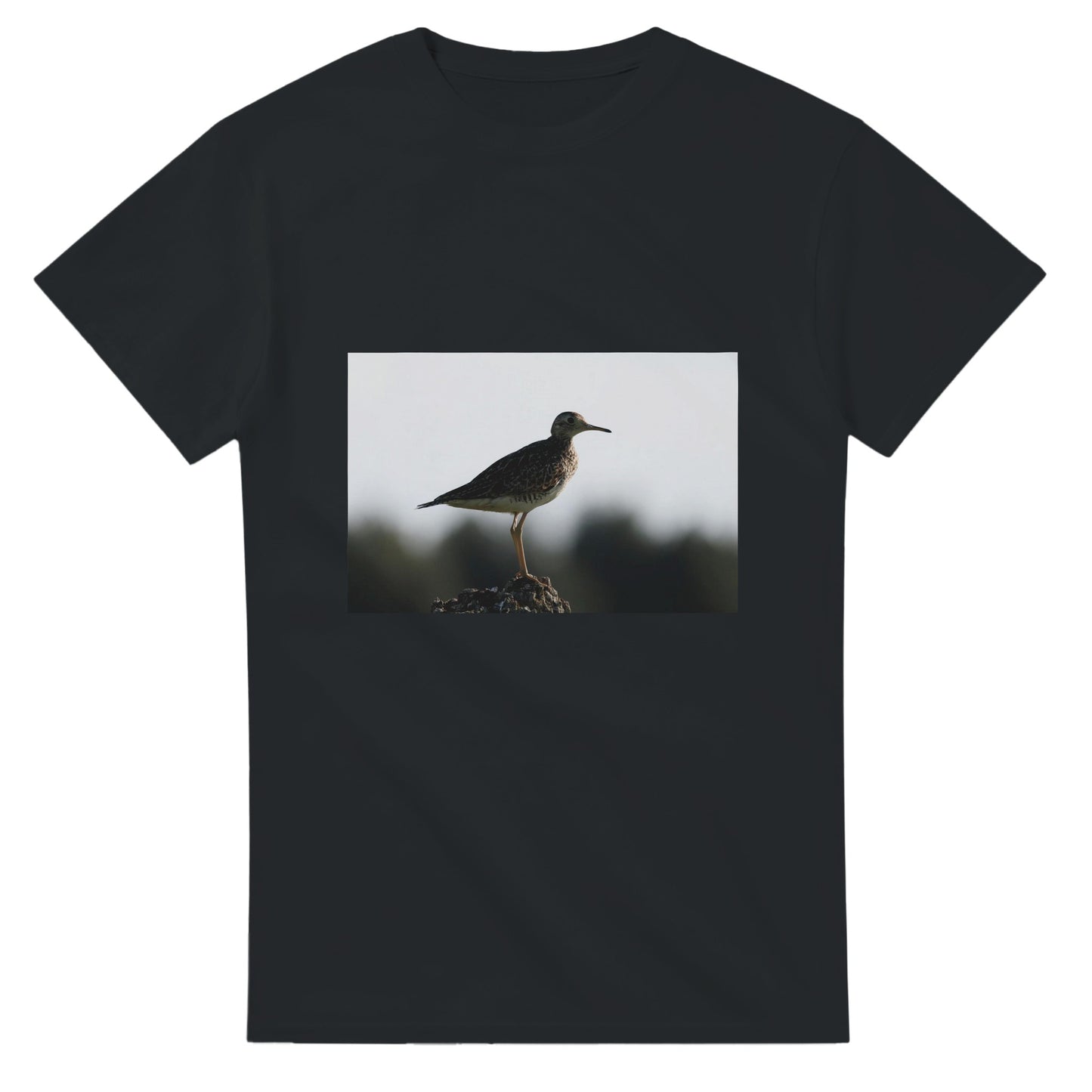 06a6c99e-f339-426c-9e5e-174b1ce32db0