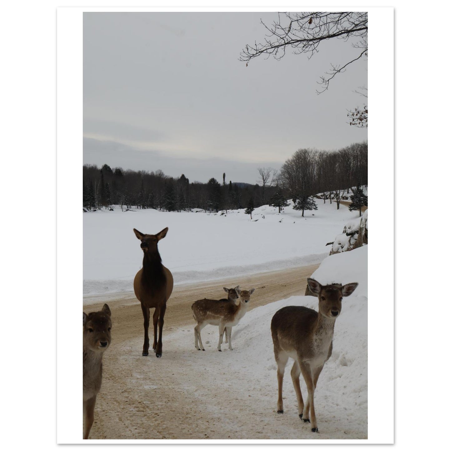 06fd0ec4-c921-44f9-9f8e-fb67208fd658