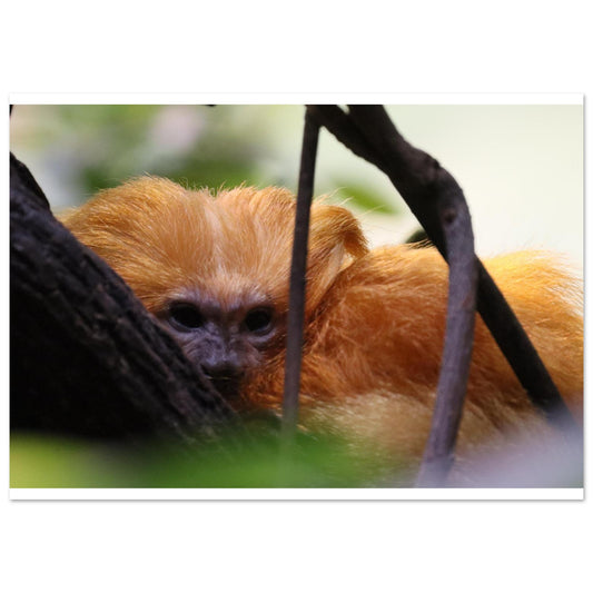 07206b04-864b-4c44-b145-52024ecaa06d