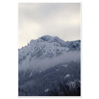 08228276-ba4b-480f-ad78-c611e2d74472