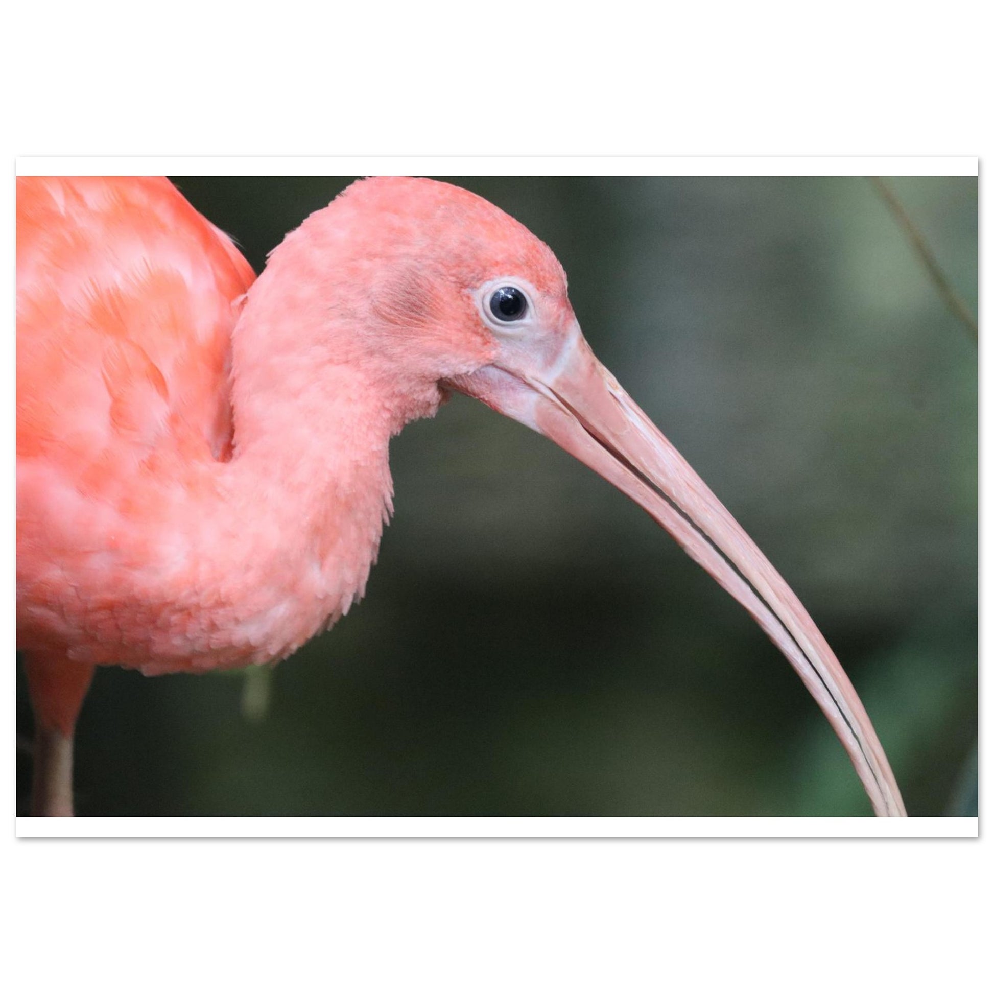 082ddba4-f13b-4dfe-aef7-59e2c7106ef8