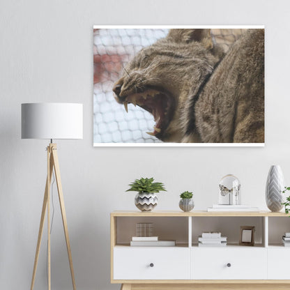 08716918-631c-4103-b6d5-4474c467ff5a