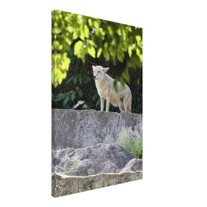 08b8b394-f18c-4e57-b080-25c0efc18ff9