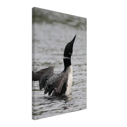 08c10368-67c5-48c5-bf65-fe0dcc79ef19