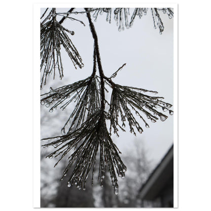 08c69733-b850-4a3b-ba07-0c5a0181df3e