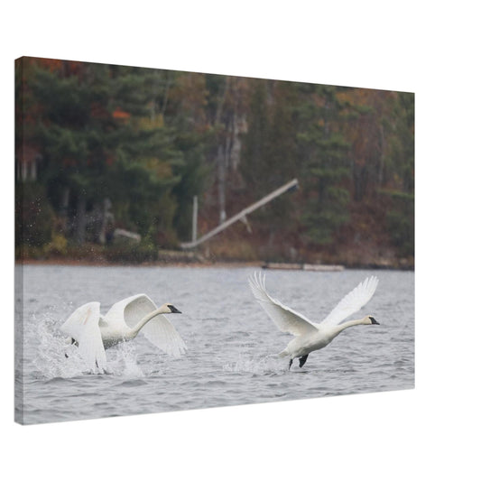 08e8e3a4-3c71-4a86-bac0-688d7e4d5225