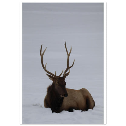 0968c187-d120-44cf-8dcb-80ccabd06c35