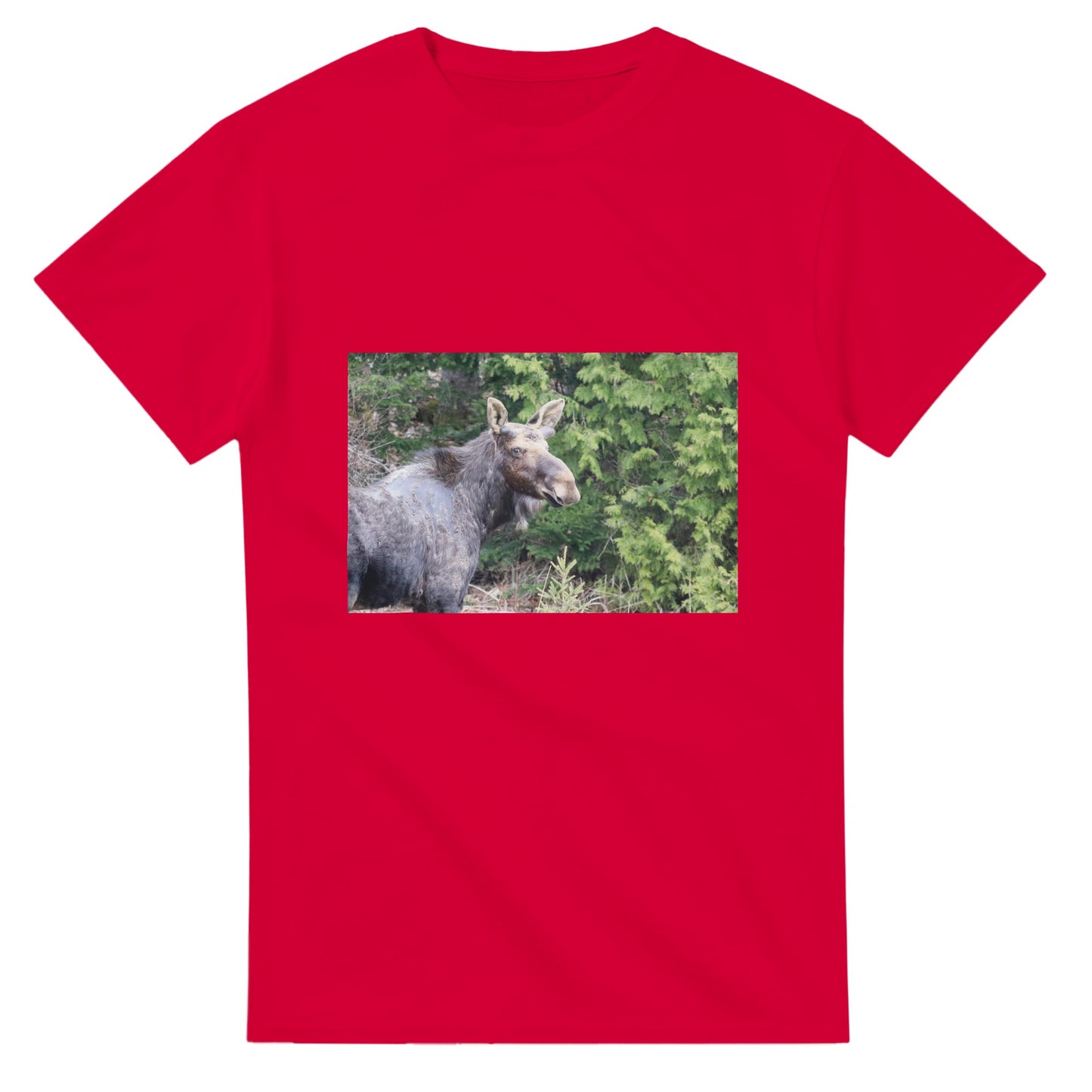 09a0e592-619e-429c-9243-635a02731c34