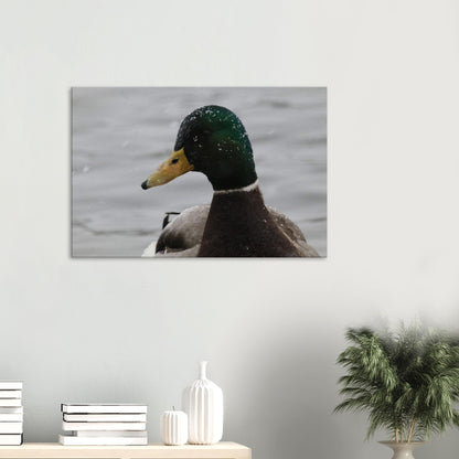 09e5cf28-57a1-4226-aaf3-abb7eceba925