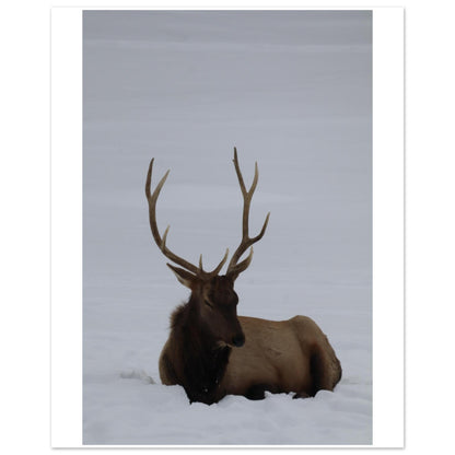 0b483269-dab8-40f7-9a18-c44fc8852f85