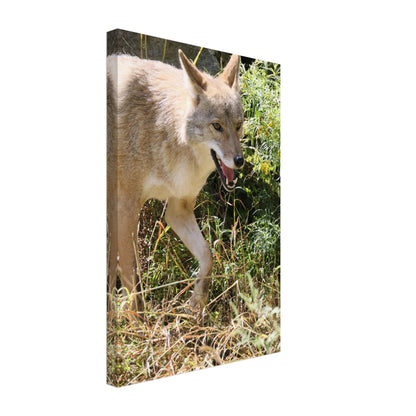 0b7dacb9-aa03-4763-b5a3-76379fa6f5ac