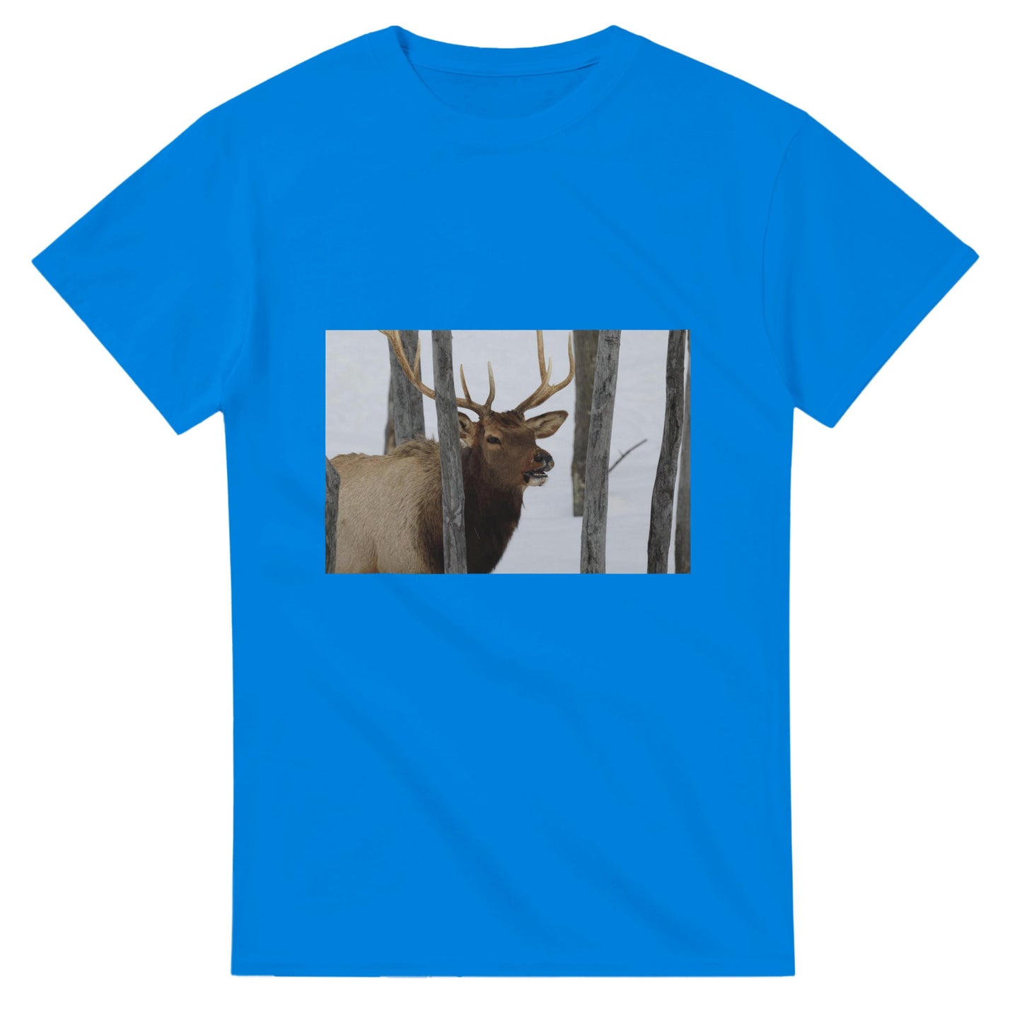 0be98a47-e22d-4df5-8058-1a65e96d4894