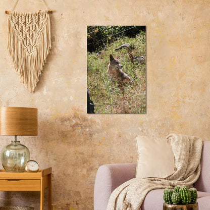 0bff8d49-8841-4817-86ba-52e7ea258ac7