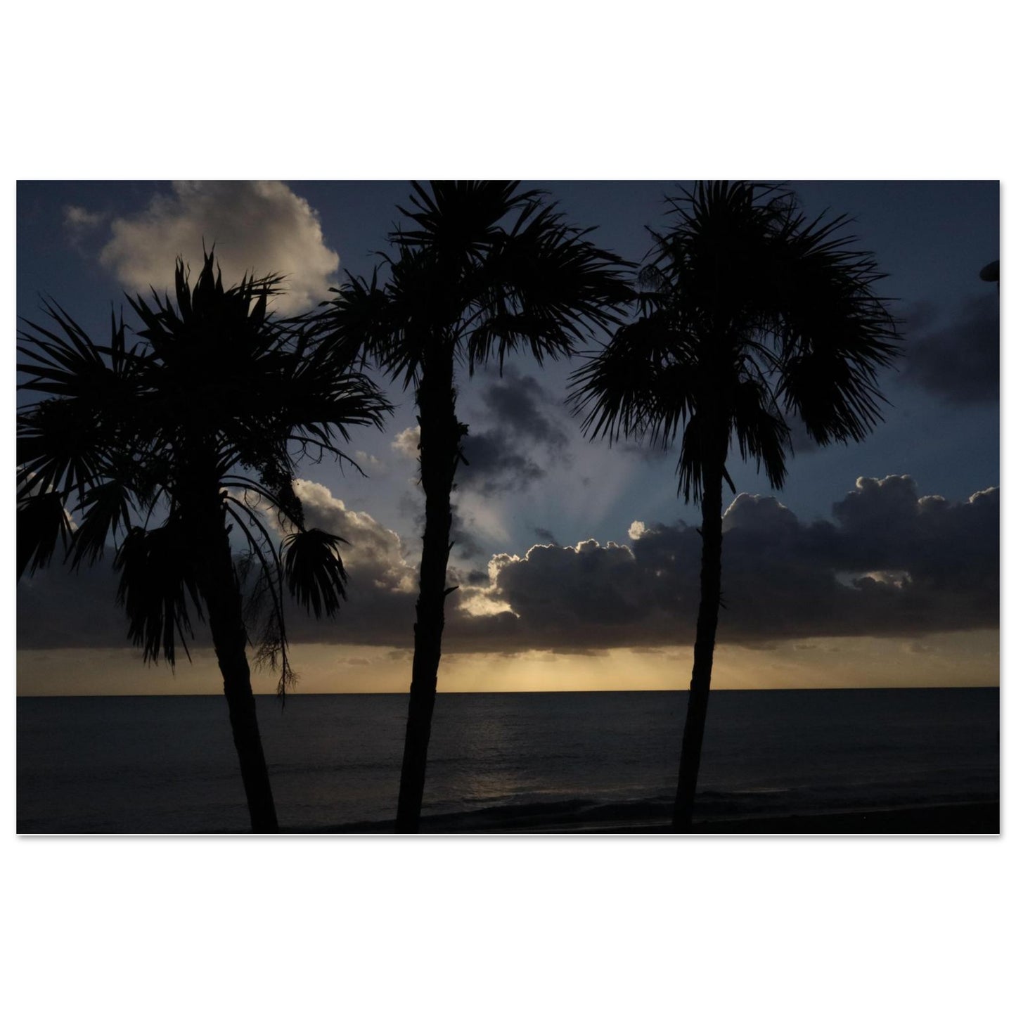 0c157e43-f160-4801-b6f2-50ce12ae306d