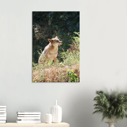 0c5be681-5461-4ad3-a6b0-19646cfbfbfe