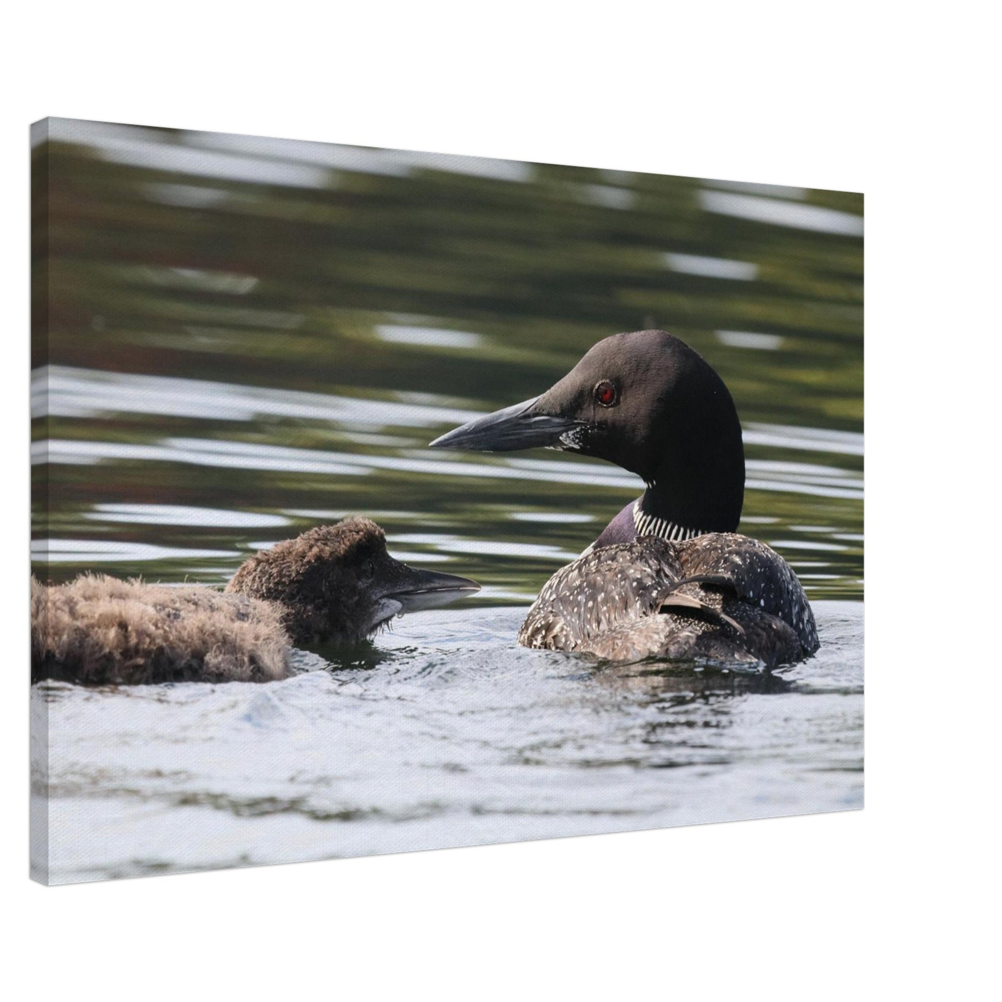 0c7075e8-d695-46cc-b252-e91ae797e4ae