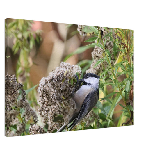 0ccff79d-6d91-43b7-bb39-f21efb3e60a8