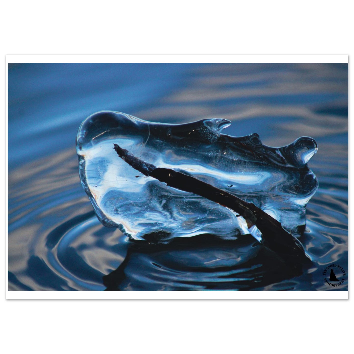 0d4bf6d7-b232-4b39-8273-24815a8cc636