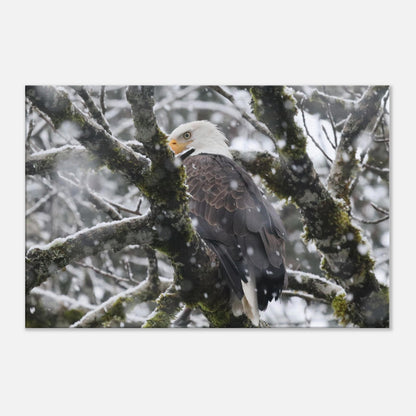 0ddc3b08-1a23-43ee-9f41-d89e41f01bb8