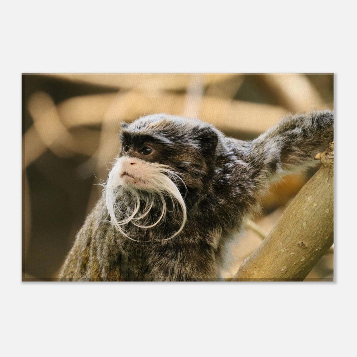 0deec890-3776-491d-a74e-f4552e8dc637