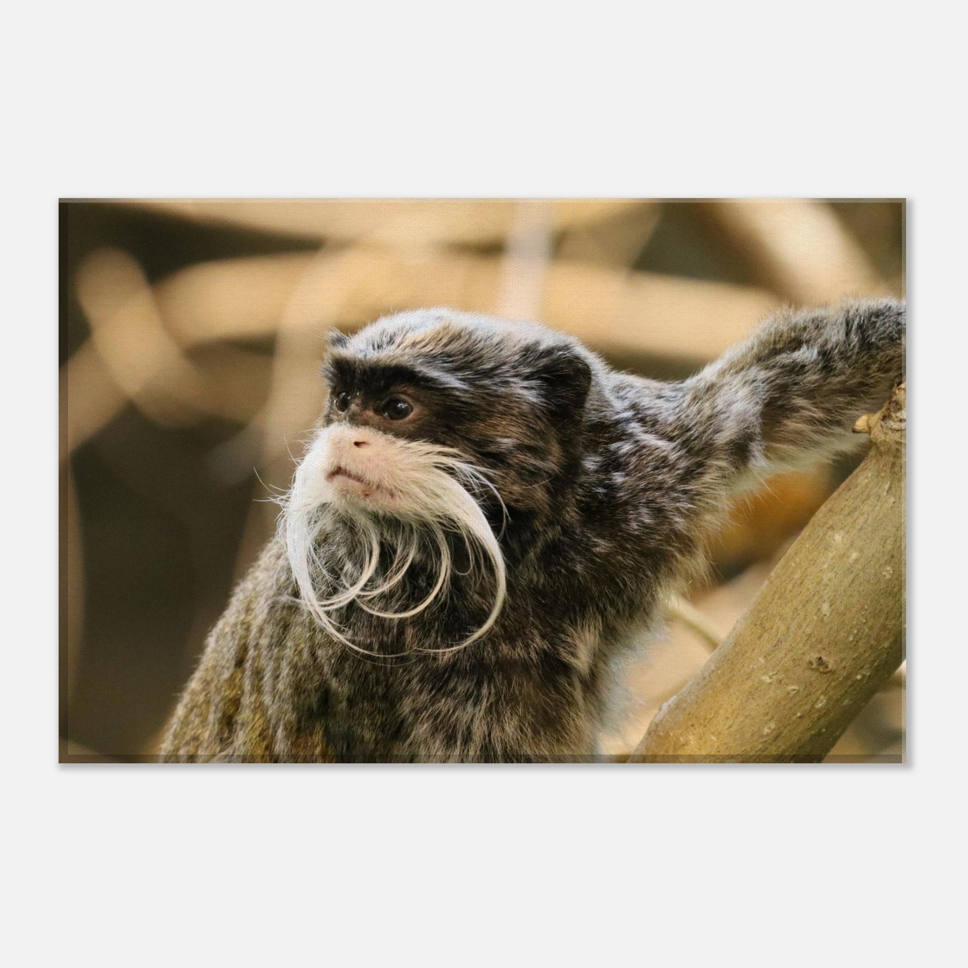 0deec890-3776-491d-a74e-f4552e8dc637