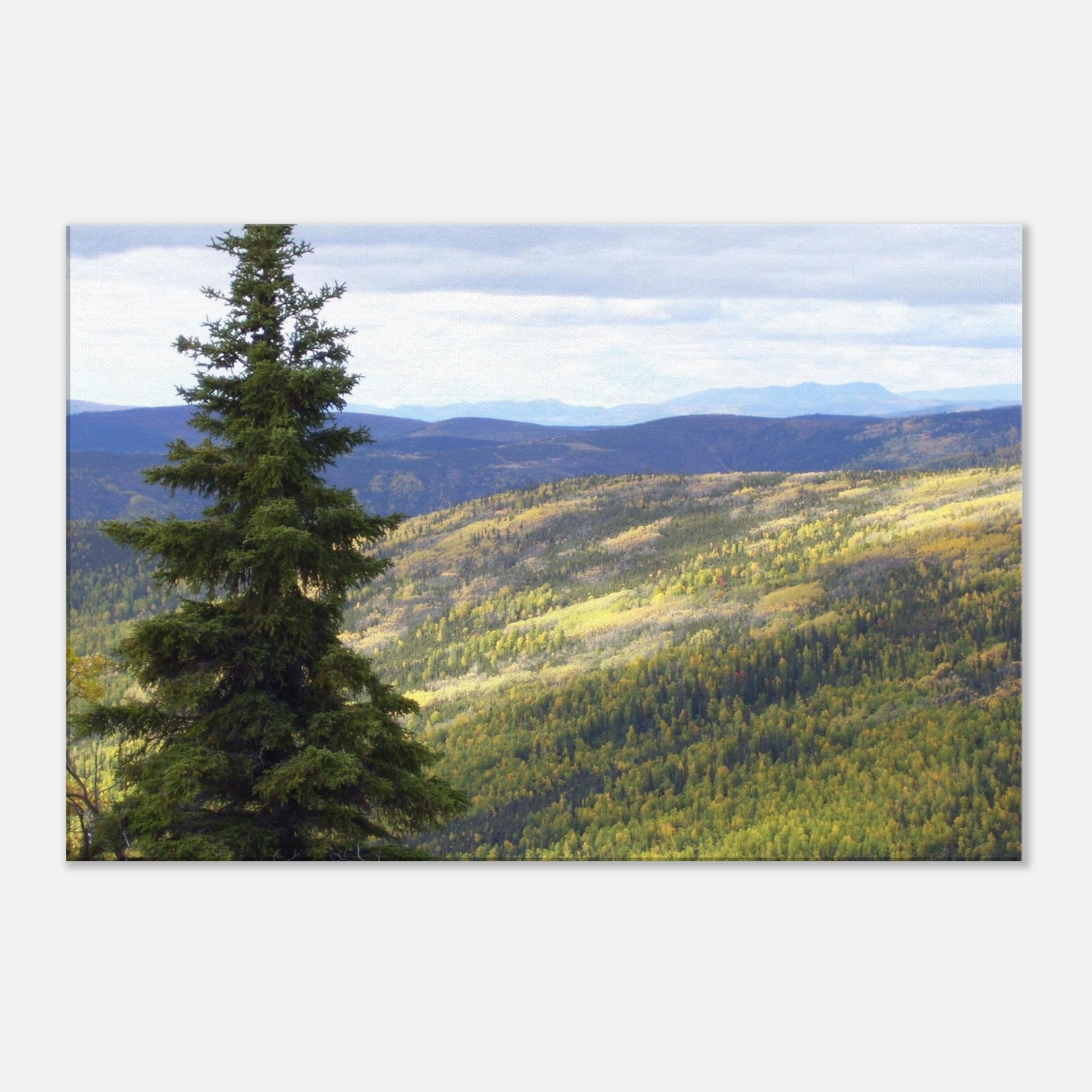 0e62a17e-1a88-4b8a-8fac-3478216de25e