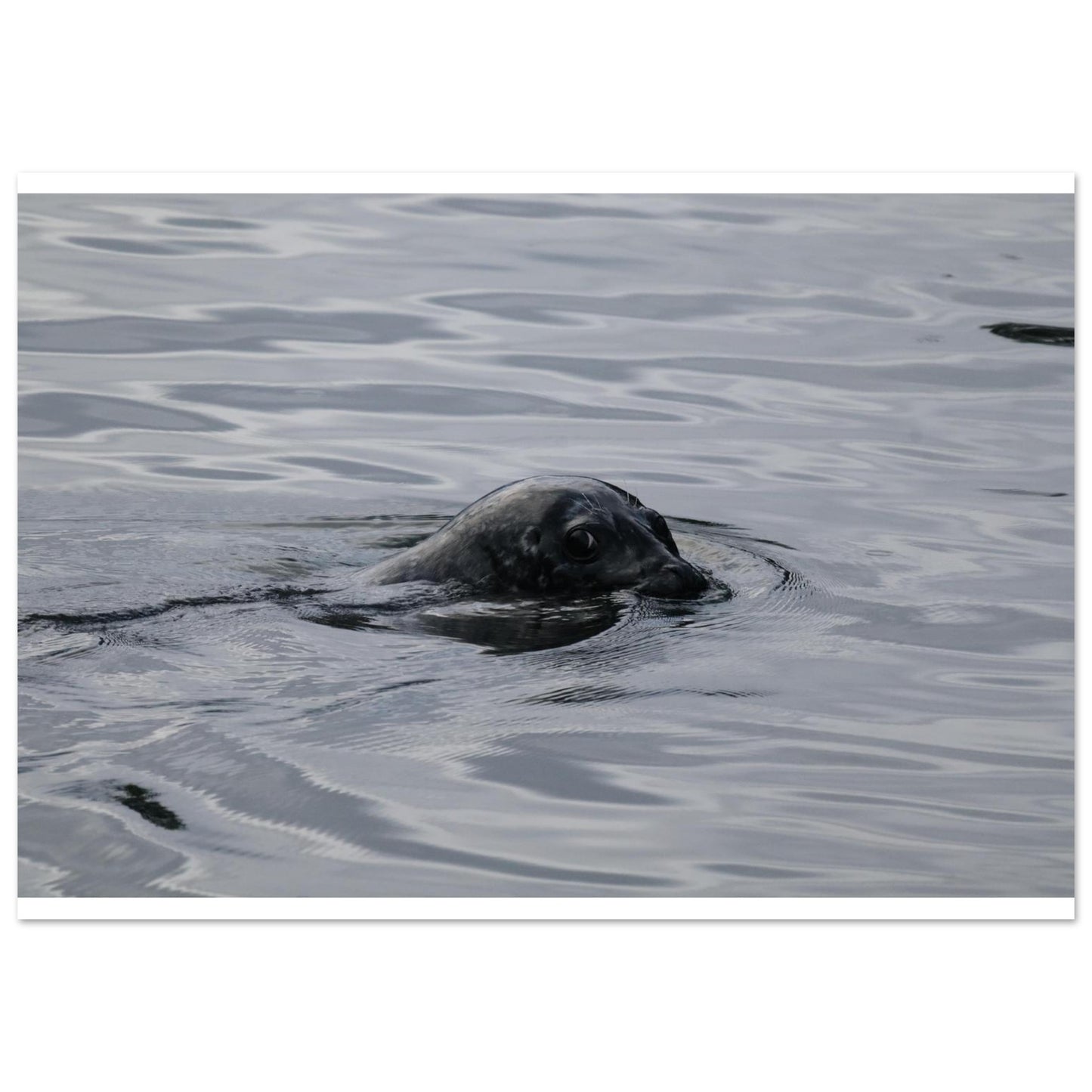 0eb288a3-bb36-4199-8d27-7303c739c770