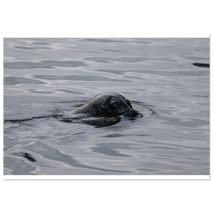 0eb288a3-bb36-4199-8d27-7303c739c770