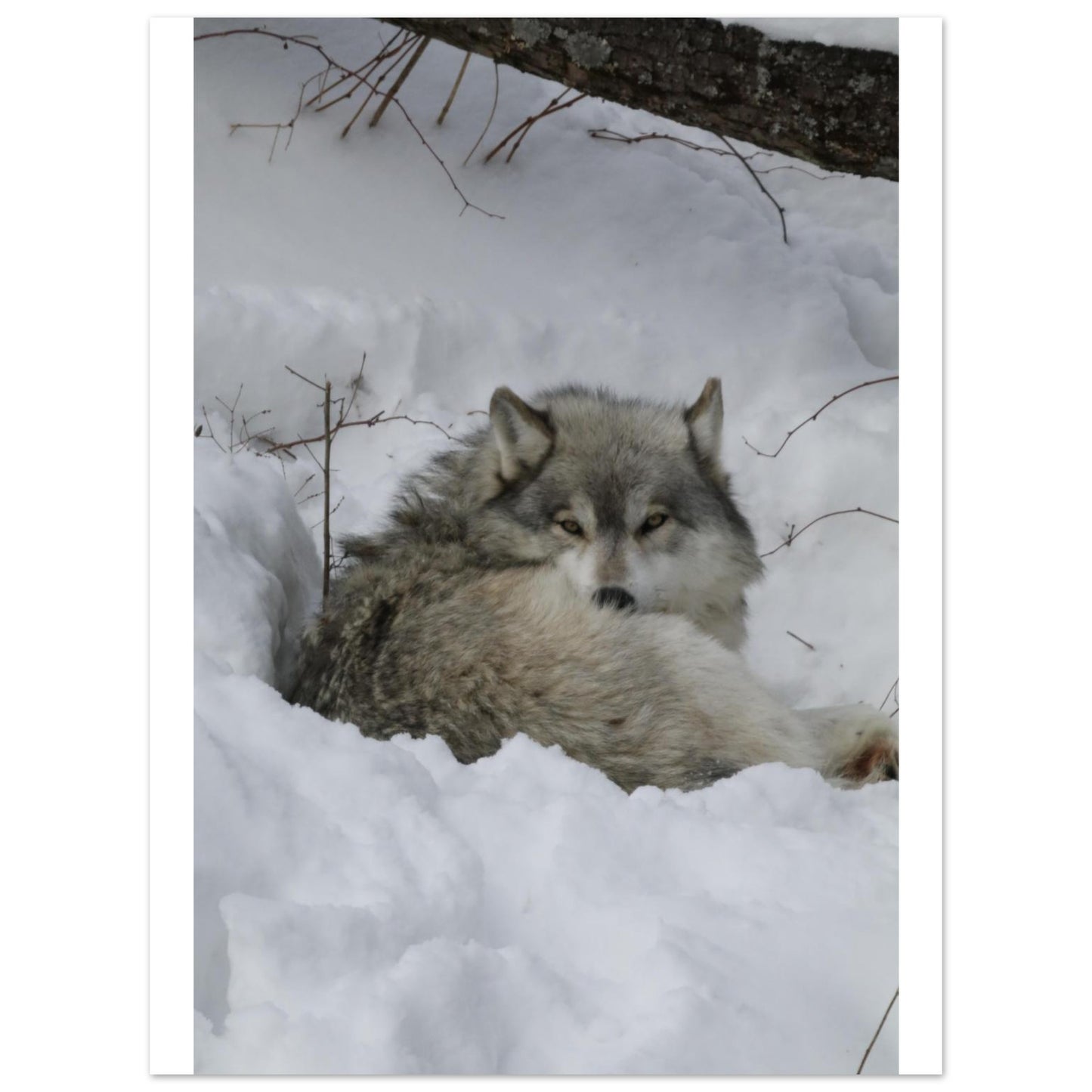 0f4c9cd9-e0b5-4559-9c4b-13a643ea15a6