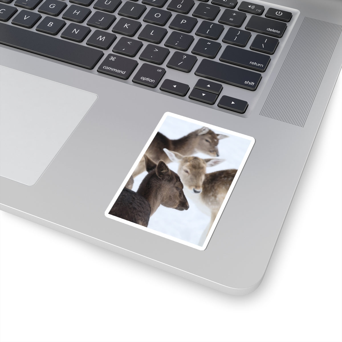 Deer Herd Kiss-Cut Sticker — Winter Wildlife Photo Sticker