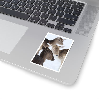 Deer Herd Kiss-Cut Sticker — Winter Wildlife Photo Sticker