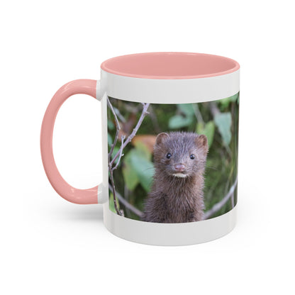 Cute Mink Photo Accent Mug – Wildlife Photography Coffee Cup (11/15 oz)