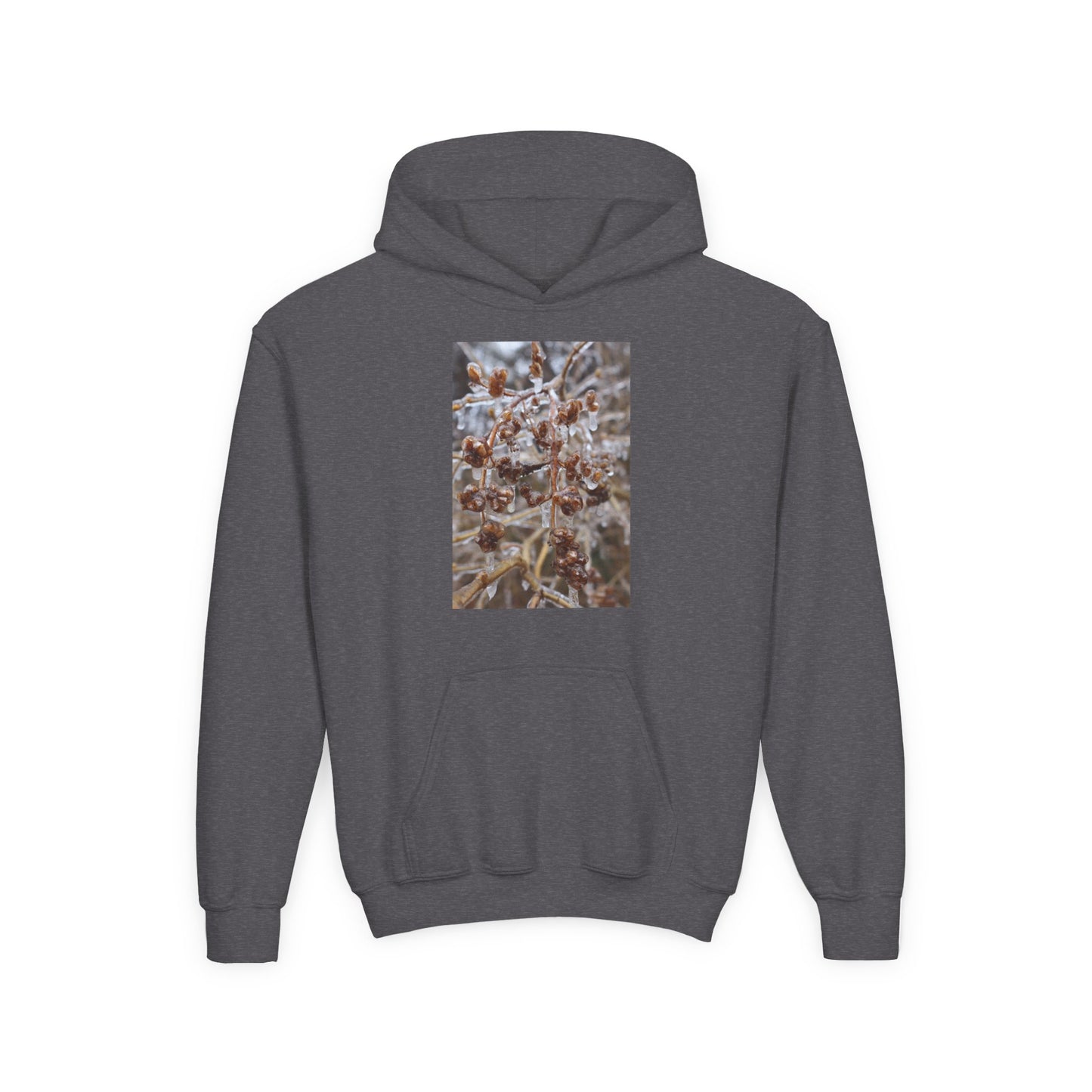 Youth Hoodie — Frosted Winter Berries Photo Print
