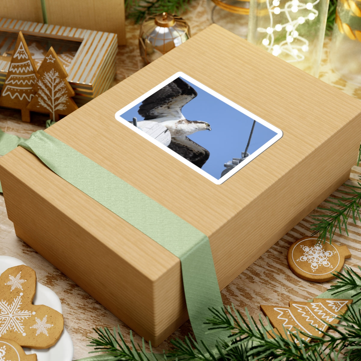 Osprey Photo Sticker — Kiss-Cut Waterproof Bird Decal