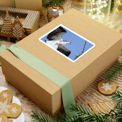 Osprey Photo Sticker — Kiss-Cut Waterproof Bird Decal