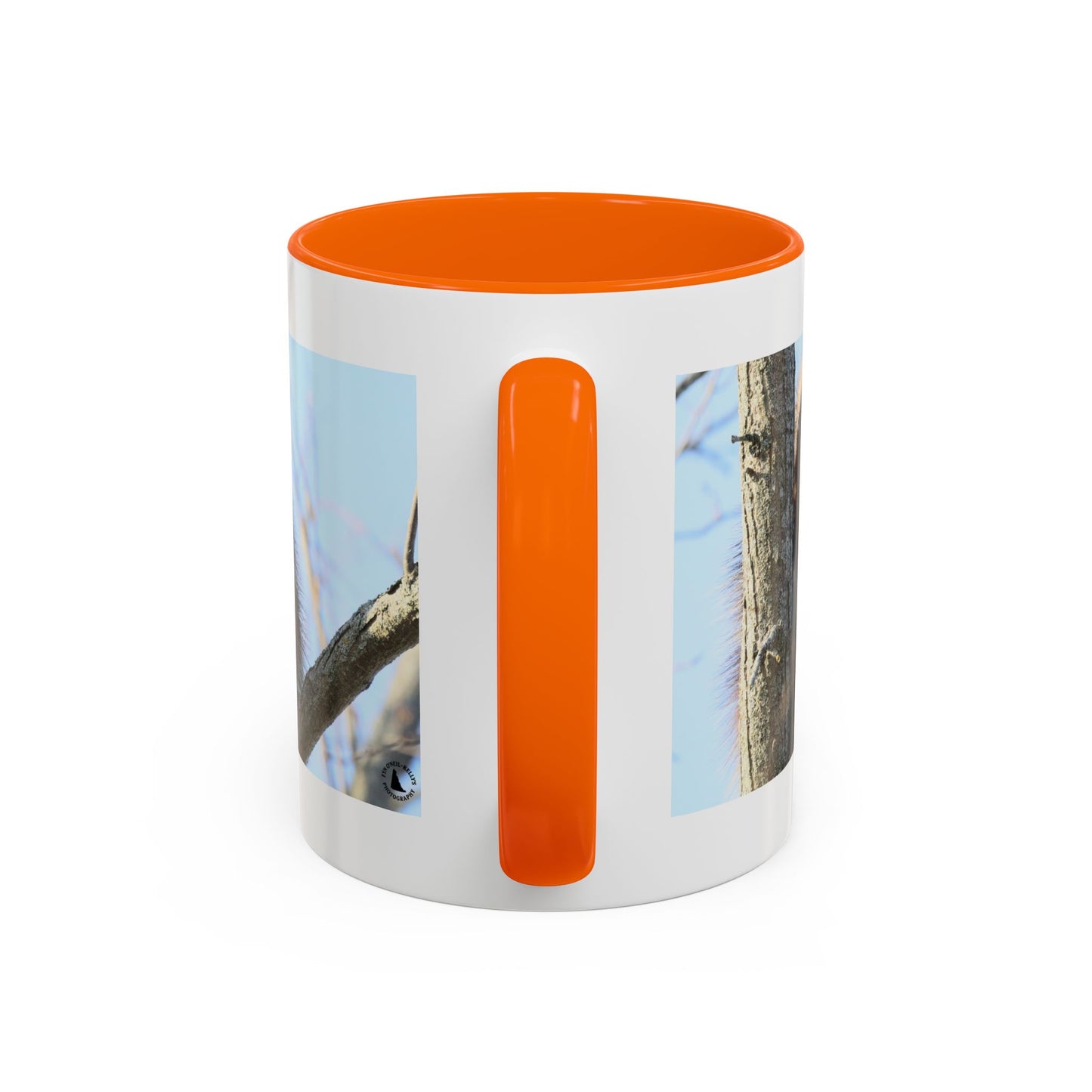 Porcupine Photo Accent Coffee Mug — Wildlife Nature Lover Gift (11/15oz)