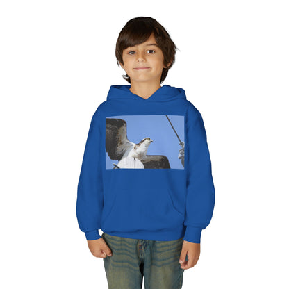 Youth Osprey Photo Hoodie — Kids Birdwatching Nature Pullover