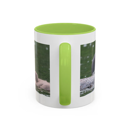 Loon Family Accent Coffee Mug – Wildlife Photo Tea Mug (11/15 oz)