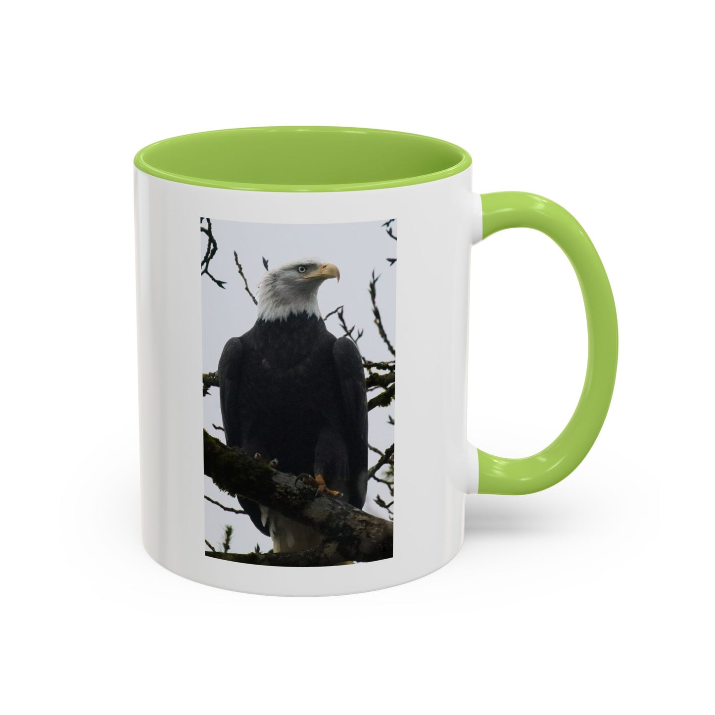 Bald Eagle Accent Coffee Mug – Patriotic Wildlife 11/15oz