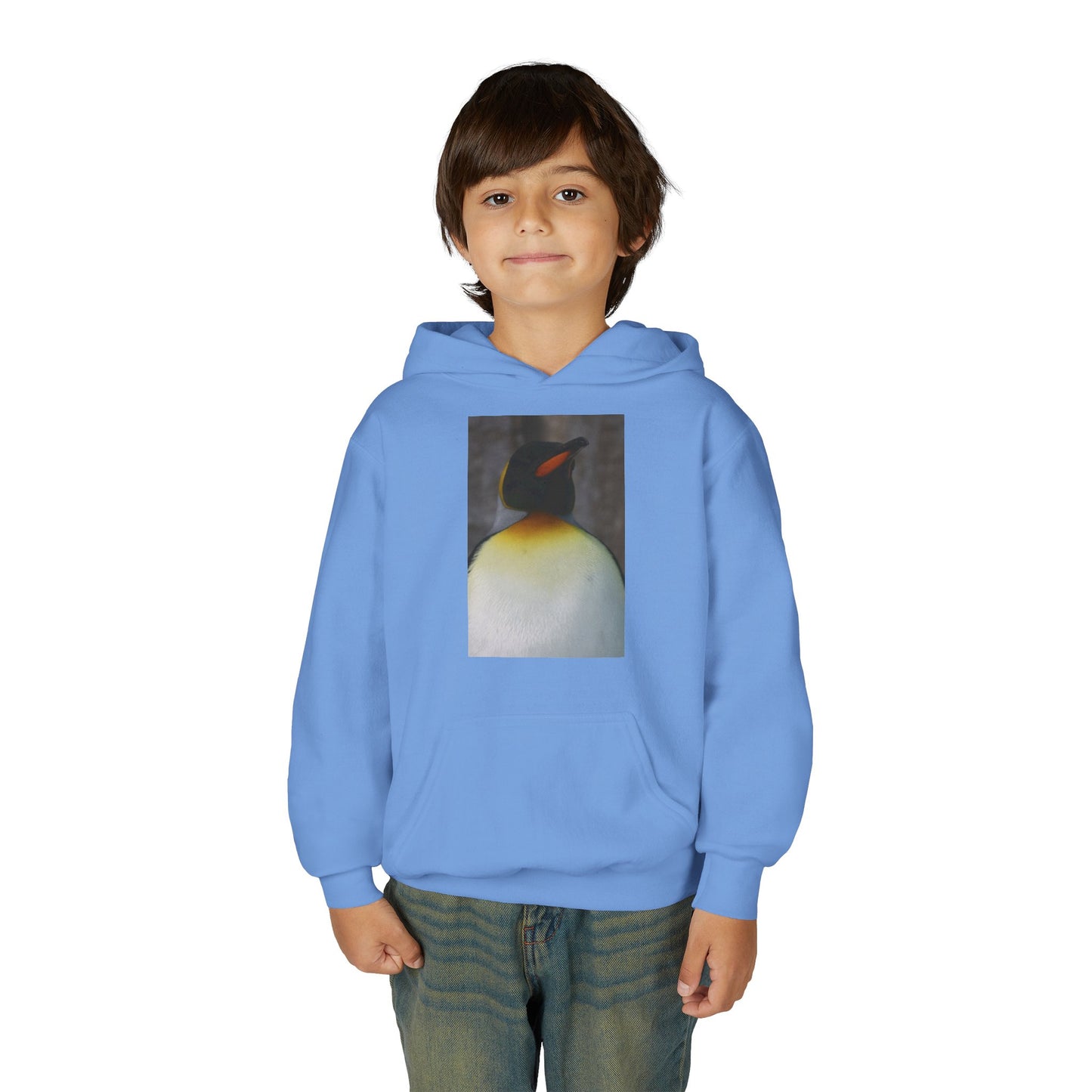 Penguin Art Youth Hoodie — Minimalist Royal Penguin Illustration Sweatshirt