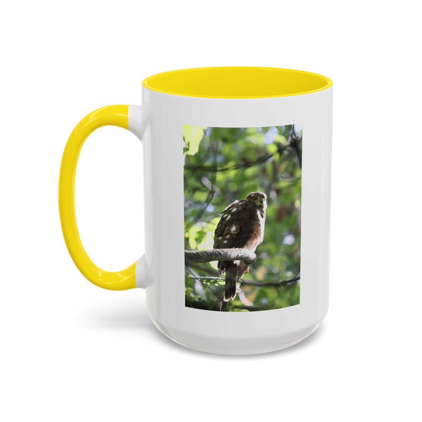 Hawk Perch Accent Coffee Mug (11/15 oz) – Nature Bird Photography