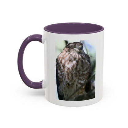 Hawk Photo Accent Coffee Mug — Birdwatcher Gift, 11/15oz