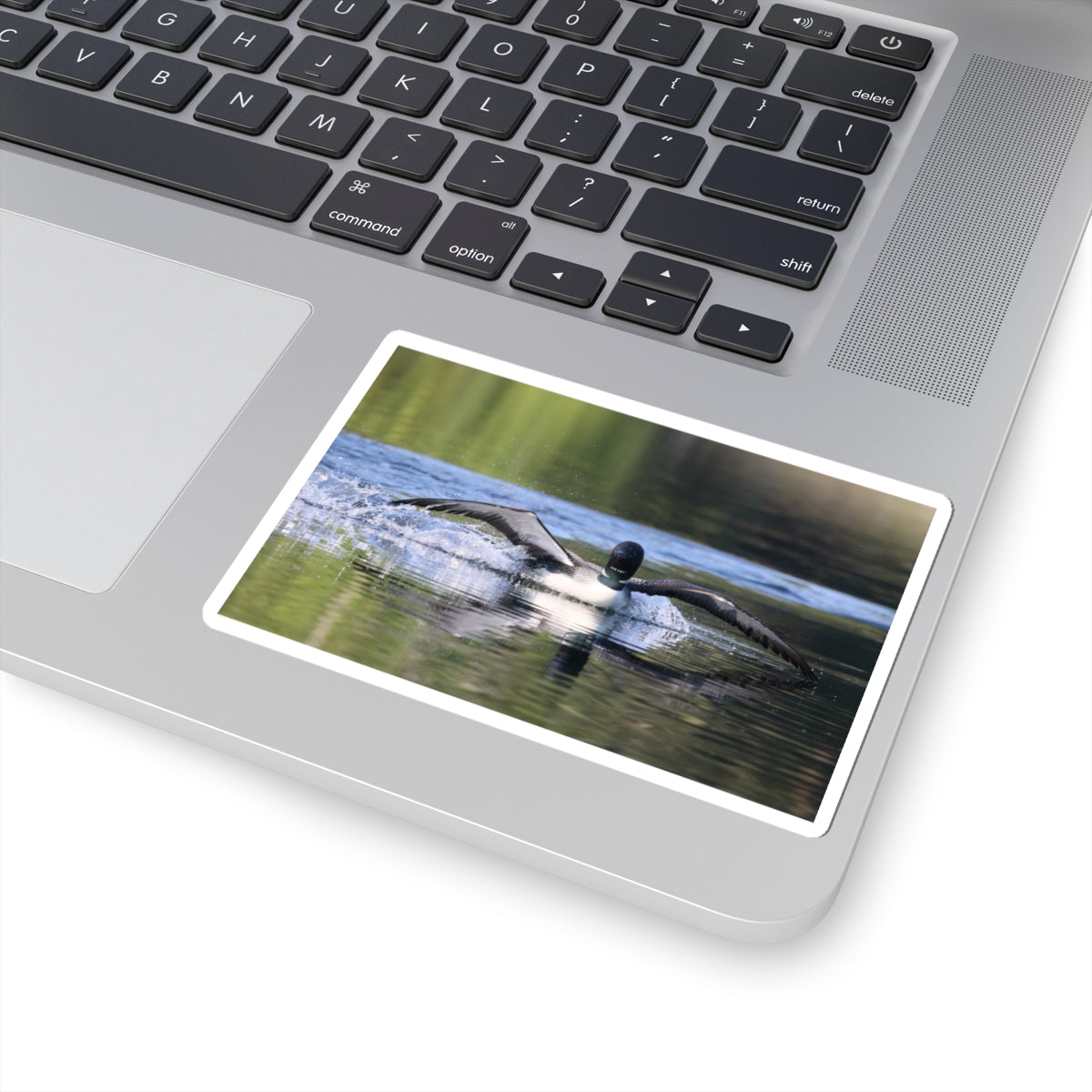 Loon Landing Photo Sticker — Waterproof Kiss-Cut Nature Decal