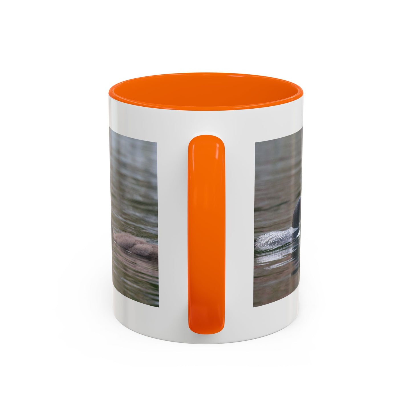 Bufflehead Duck Photo Accent Coffee Mug — Nature Lover Wildlife Gift (11/15oz)