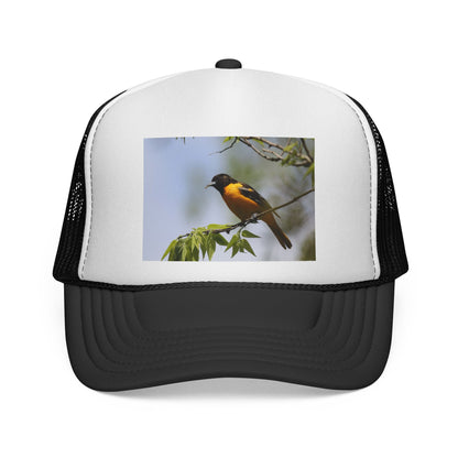 Baltimore Oriole Trucker Cap — Birdwatching Mesh Hat