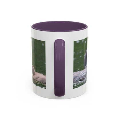 Loon Family Accent Coffee Mug – Wildlife Photo Tea Mug (11/15 oz)