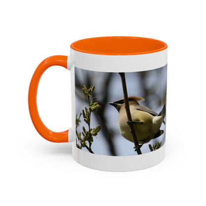 Cedar Waxwing Bird Photo Accent Coffee Mug
