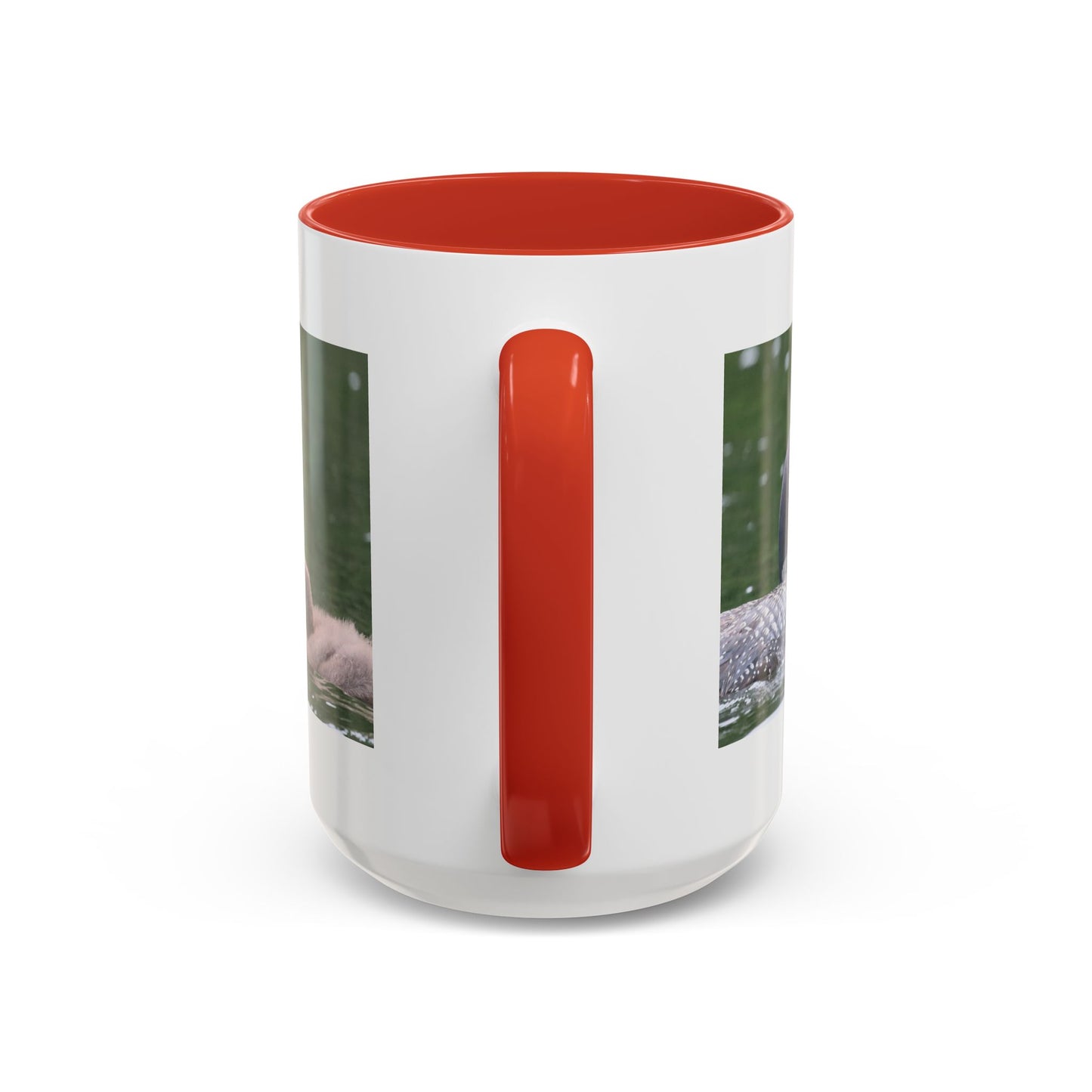 Loon Family Accent Coffee Mug – Wildlife Photo Tea Mug (11/15 oz)