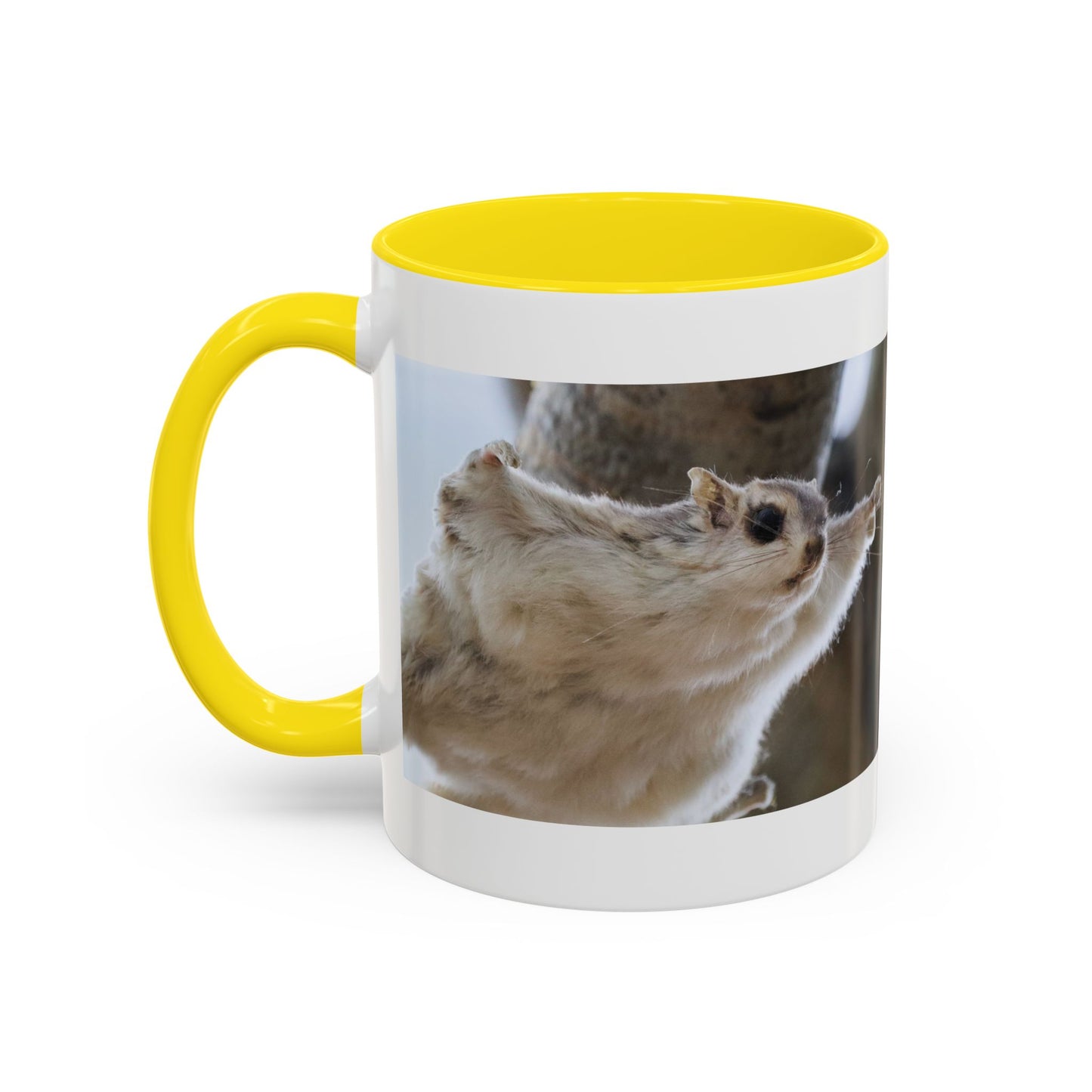 Flying Squirrel Accent Coffee Mug — Cute Wildlife Photo Mug (11/15oz)