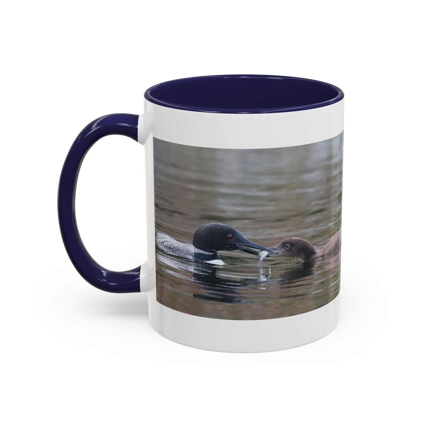 Bufflehead Duck Photo Accent Coffee Mug — Nature Lover Wildlife Gift (11/15oz)